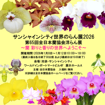 整形点花最高峰！ - (株)東京オーキット・ナーセリー