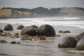 Moreaki Boulders