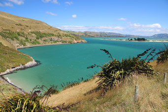 Pilots Beach à Otago