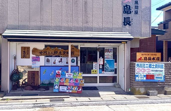アメリカンランゲージスクール