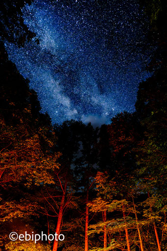 檜枝岐の星空