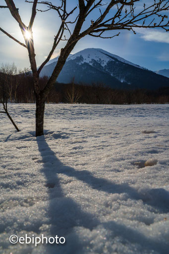 八甲田山
