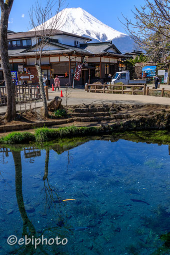 忍野八海