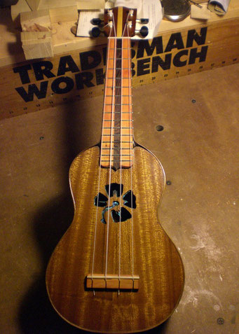 Nicolas PEREZ Ukulele