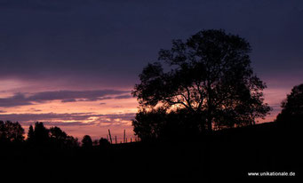 Morgengrauen