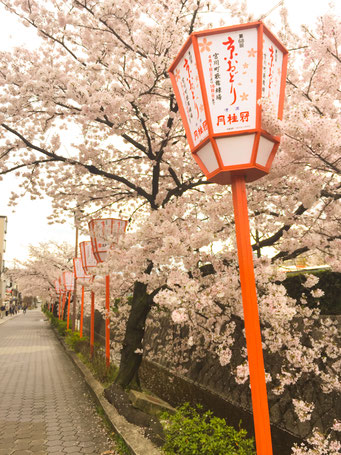 京おどりの灯篭