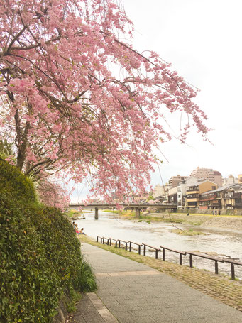 鴨川