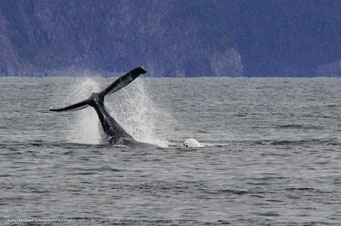 Mit dem Wohnmobil auf dem Wohnmobilstellplatz Seward in Alaska und den Yukon
