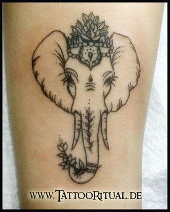 Tattoo Elefant, Fineline Tattoo, Tattoostudio Rostock, Tattoo Rostock, TattooRitual
