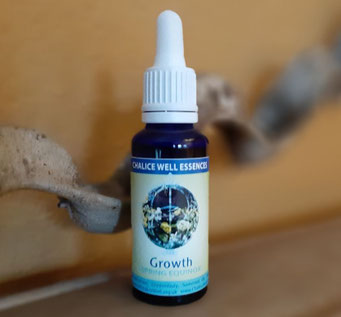 30ml - CHF 33.00