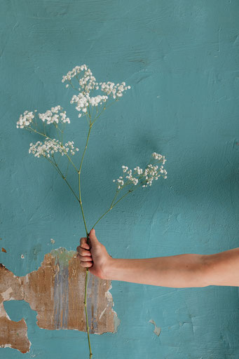 Un bouquet de fleurs légères, comme l'aide d'un biographe professionnel à Toulouse