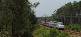  TGV Landais. Il n'y a pas que des lignes droites dans les Landes. Pour preuve, ce TGV montant à Paris est vu en ce 16 Juillet 2013 dans les courbes et contres courbes de Laluque (40).