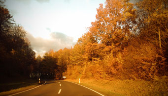 Photo Gee Vero Herbst 