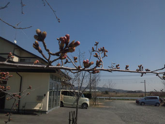 下関市 小月で介護 シャンバラ 認知症対応型介護施設 介護施設シャンバラ 認知症対応