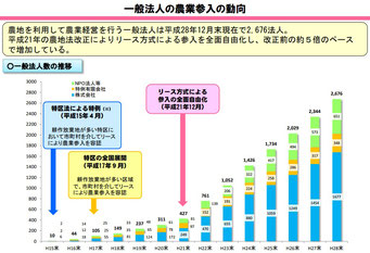 一般法人の農業参入の動向