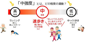 中強度の運動