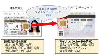 マイナ免許証