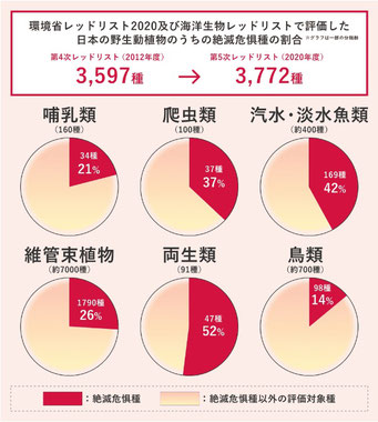 環境省 エコジン