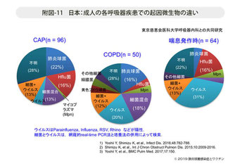 呼吸器疾患の起因微生物