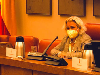 María José Ferrer Sansegundo en el Congreso de los Diputados