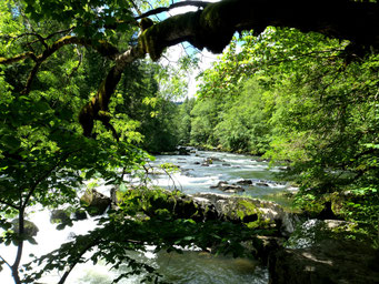 Saut du Doubs