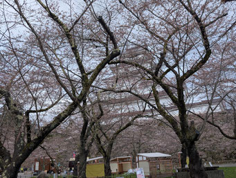 会津の名城「鶴ヶ城」