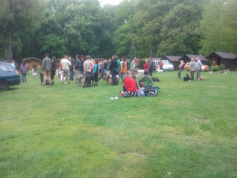 Dogtrekking Dogtrekking Dogtrekking Dogtrekking Elbsandstein-Dogtrekking ESDT Harz-Dogtrekking