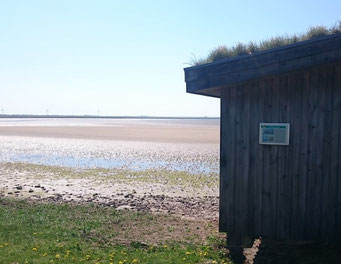 Salzwasserlagune Beltringharder Koog
