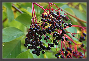 Foto: pixabay.com - Symbolfoto