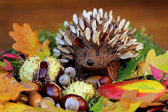 Igel Herbst deko basteln erlebnisgutscheine ausgefallene geschenke kindergeburtstag feiern