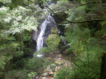 二階滝