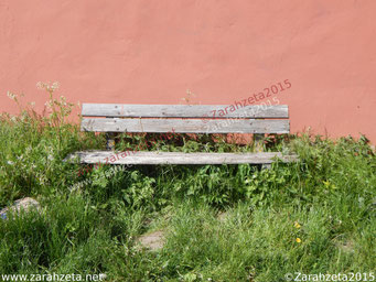 Alte verwitterte Holzbank im Wildwuchs