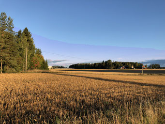 Maisema, Petros Hirsimaa