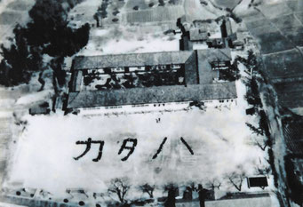 片葩小学校 航空写真