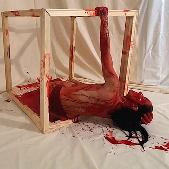 Ortrun Stanzel, Tanzperformance, interdisziplinäre Kunst, GEDOK Galerie, Videoinstallation, Frauenrechte, Blutbad