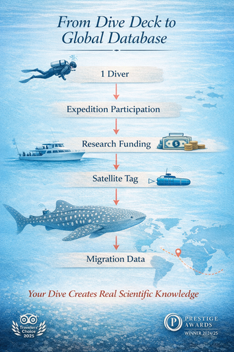Graphic showing how 1 diver participating in a Citizen Science Expedition can help to increase the scientific knowledge about whale sharks.