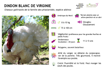 Les panneaux pédagogiques : les animaux de la ferme en permaculture