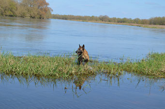 Henji 3 ans, sur les bords de Loire