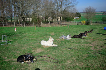 Molie, Anthémis, Junko, Maïko, Lutesse, Meira, Mako.