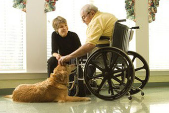 Chien visiteur pour maison de retraite, école, hopital, intitue pour personnes handicapés