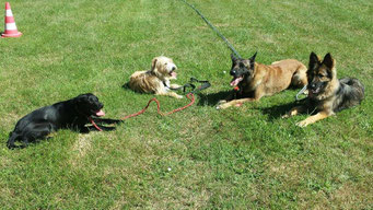 Mélusie, Nasko, Henji, Malia