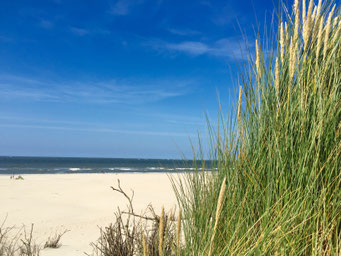 Borkum