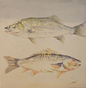 "Fisch- Duo", 50x 50 cm, 89,- €