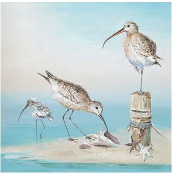 "Brachvögel" 60x60 cm, 99,-€