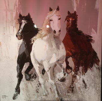 Wildpferde 70 x 70 mit schwarzen Alurahmen, 139,-€