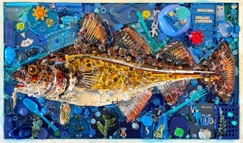"Dorsch Gadus Morhua", A. Darkow, 60x99cm, 1199,-€