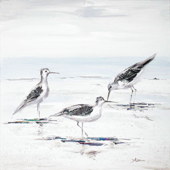 "Strandläufer" 60 x 60 cm 99,-€