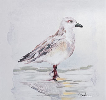 "Nahrungssuche" 40 x 40cm, 39,-€