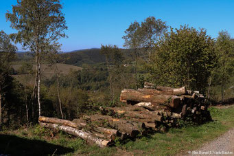 Netphener Keltenweg 2018, oberhalb von Eschenbach