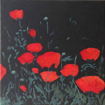 Mohn 3